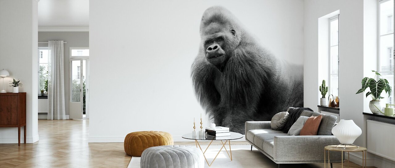The 800 Pound Gorilla That Just Will Not Go Away