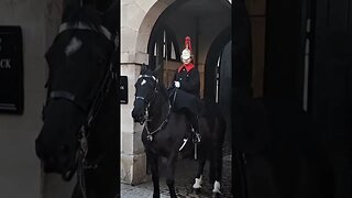 watch the tourist run get off the Reins #thekingsguard