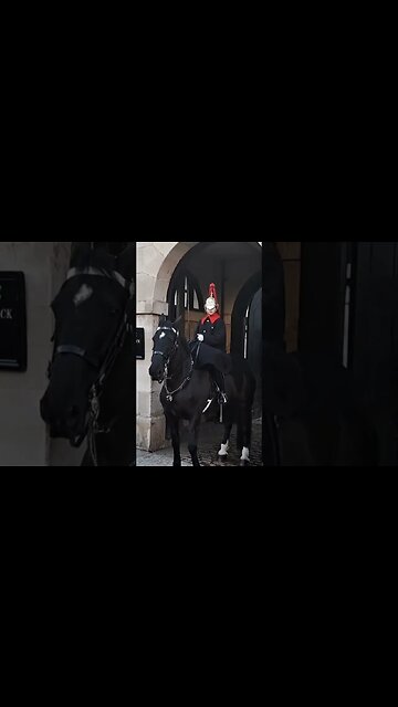 watch the tourist run get off the Reins #thekingsguard