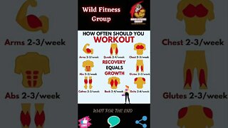 🔥How often should you workout🔥#shorts🔥#wildfitnessgroup🔥10 November 2022🔥