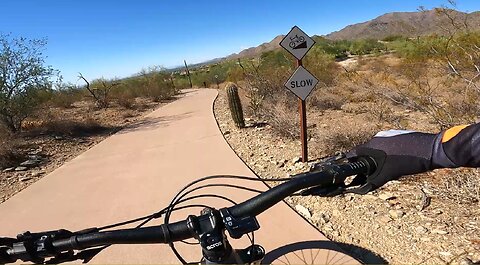 CTO - MMR Javelina Trail