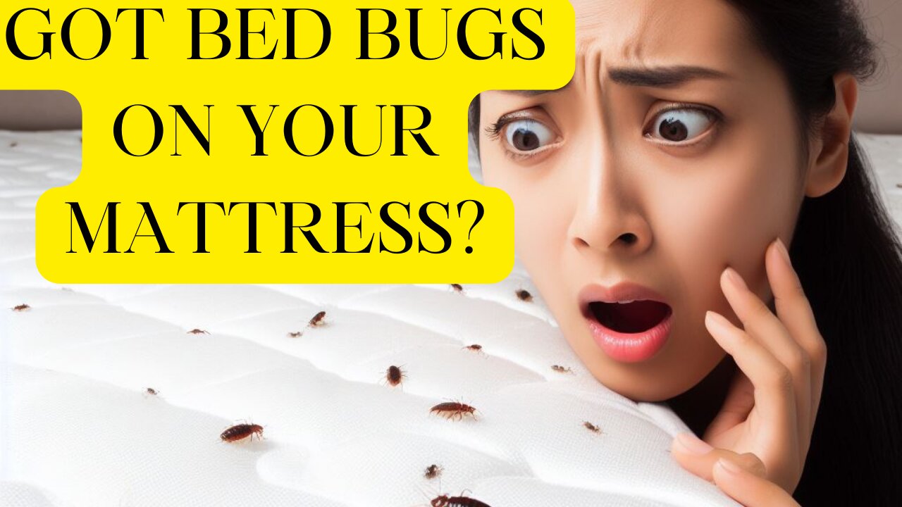 How To Get Rid Of Bed Bugs On Mattress?