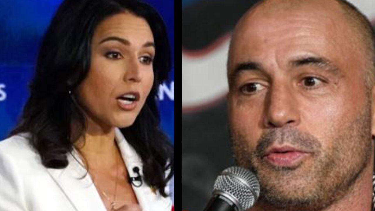 Tulsi Gabbard reacts to Joe Rogan