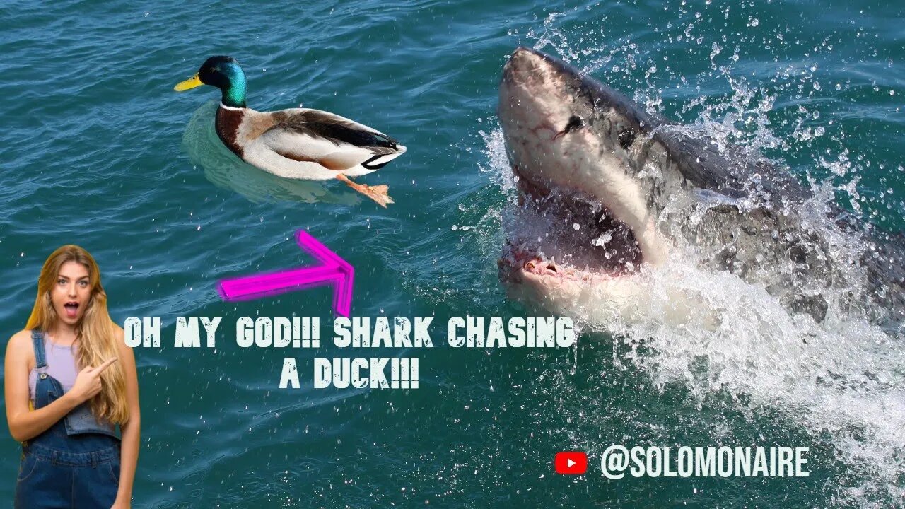 Oh my God! Shark chasing Ducklings😱| #shorts #short #shortvideo #share #food #shortsvideo #subscribe