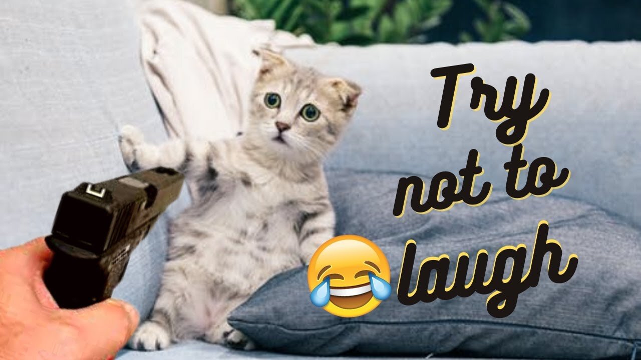 Funniest Animal 😹😹videos of 2022 | Best Compilation of funny Animal😸videos