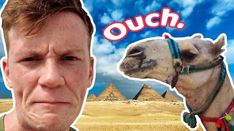 My Slightly Painful Camel Ride to the Pyramids of CAIRO, EGYPT أجنبي يحاول ركوب الجمل Travel Vlog