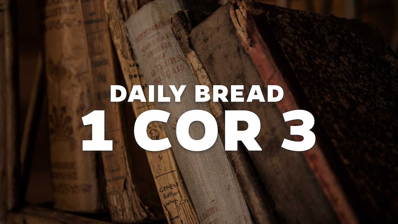 Daily Bread: 1 Cor 3