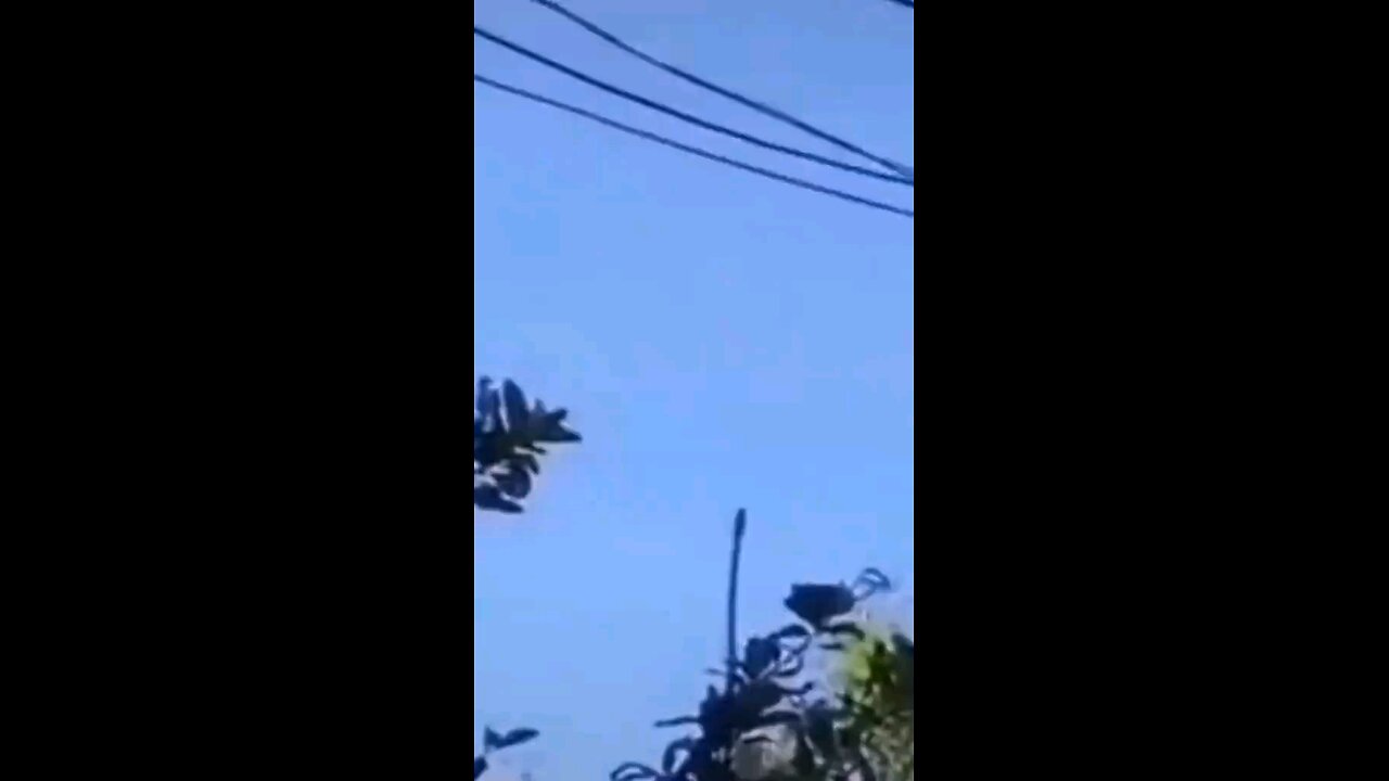 A wild spider traps a large snake in its web. The greatest oppressors always die at the hands of th