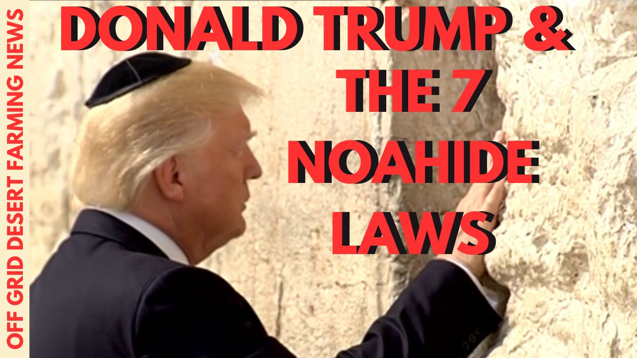 SPECIAL REPORT !! DONALD TRUMP & THE 7 NOAHIDE LAWS