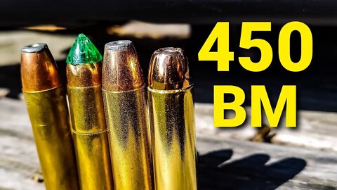 450 Bushmaster - 100 Yard Ammo Test