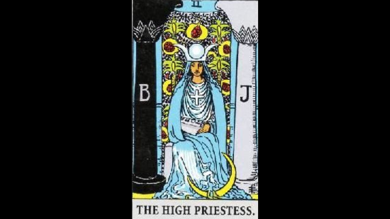 We are the News 👀🐇