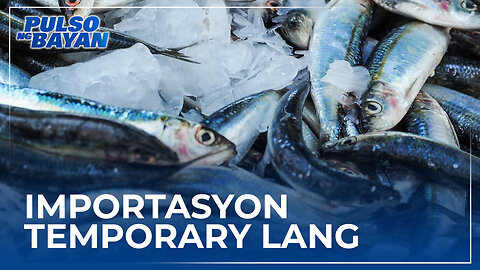 Importasyon ng 35-K MT ng isda sapat lang para mapunan ang supply