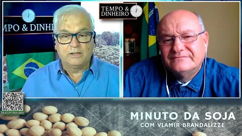 Milho escasso e valorizado no Brasil