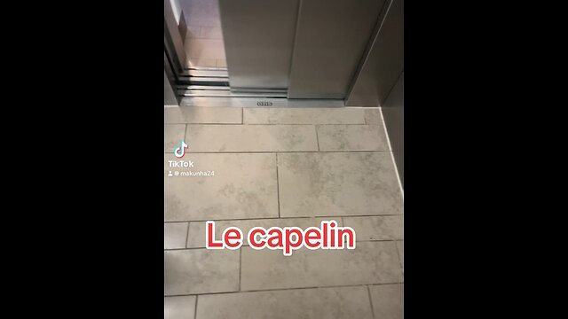 Le capelin