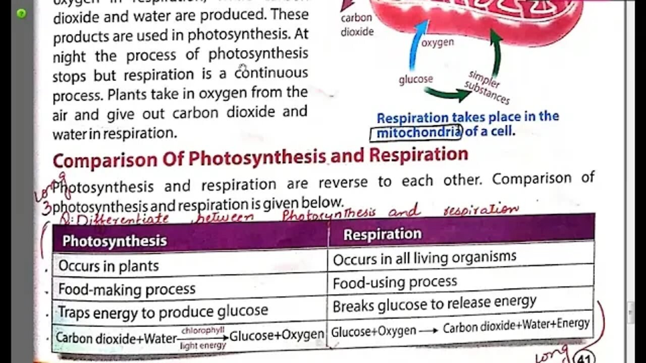 Class 6th Science Photosynthesis and Respiration