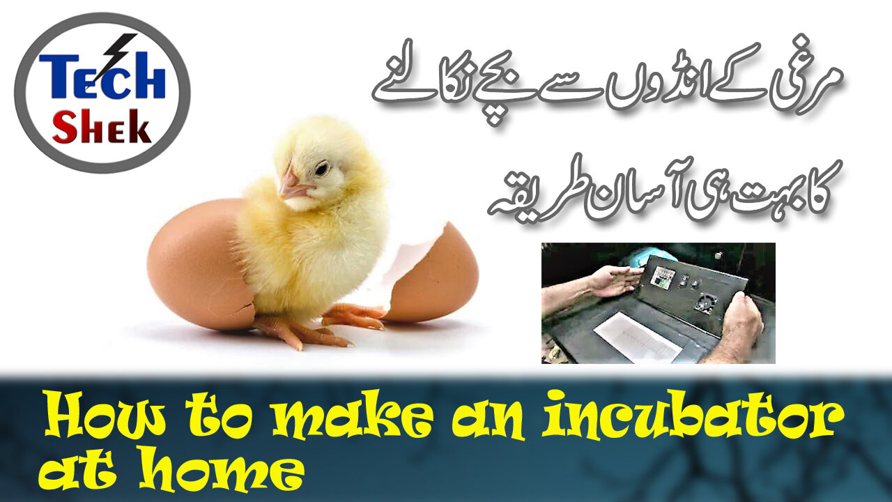 How To Make an Egg incubator at Home // Cardboard Box Egg incubator