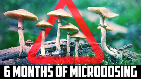 Microdosing Magic Mushrooms for 6 Months | What I Learned