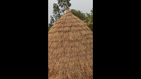 Punjab Village