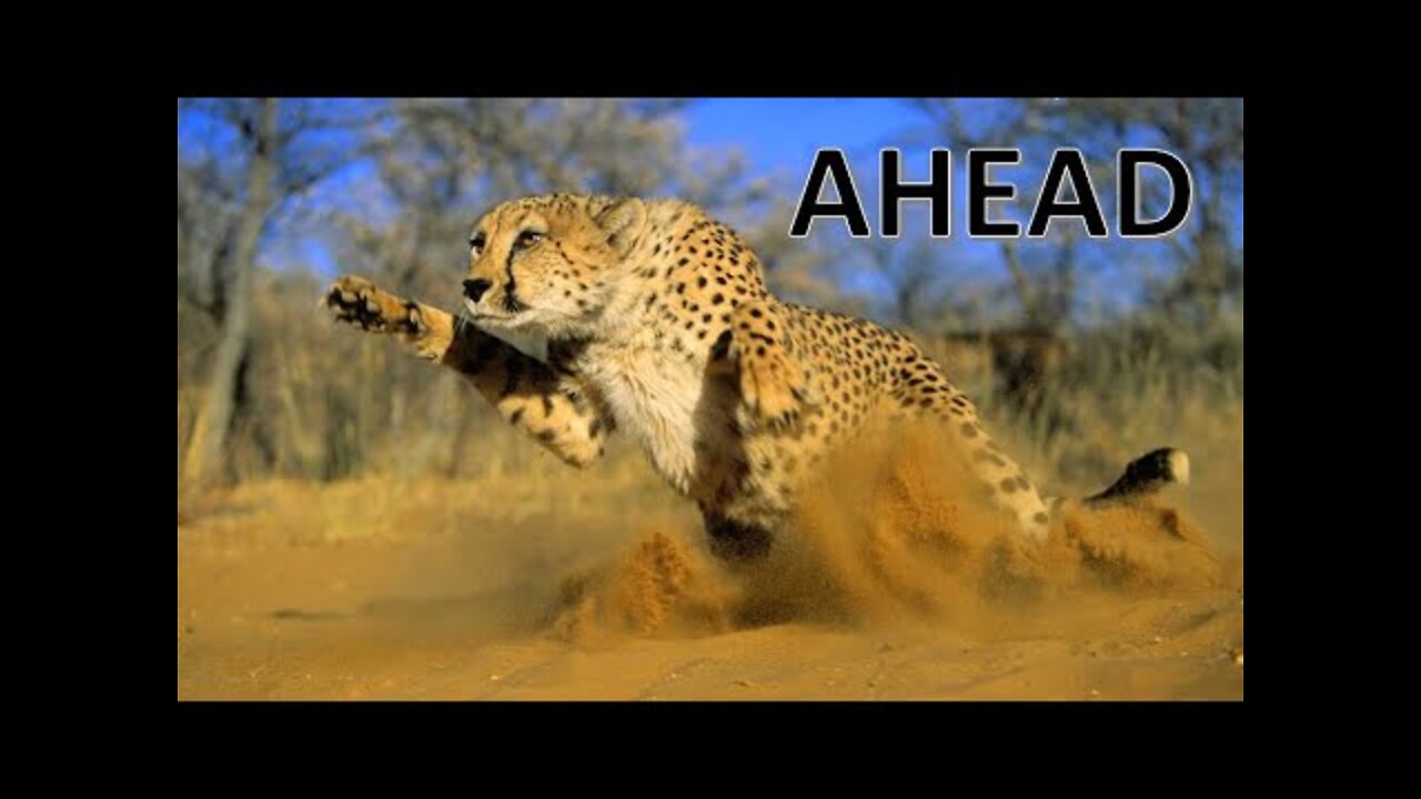 If You Cant Outrun Inflation How Do You Survive?