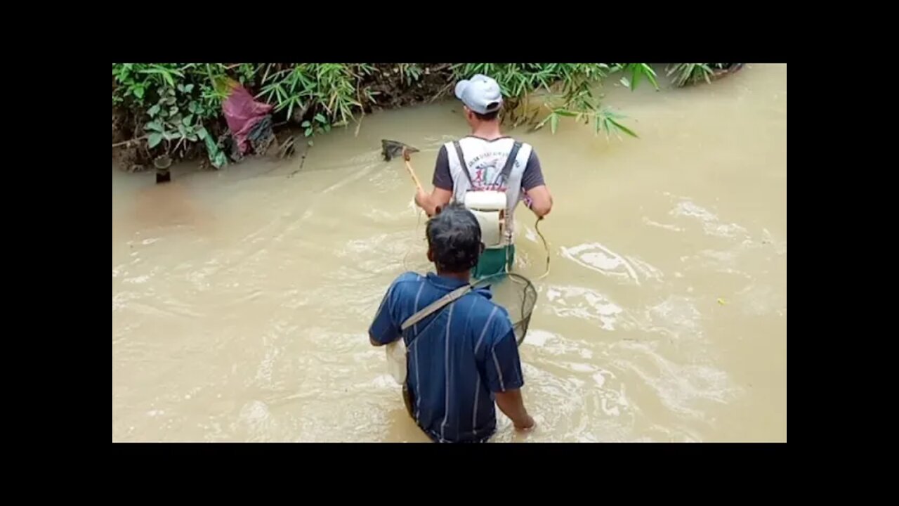 Cari Ikan Di Kali Kecil | Dapat ikan Beli