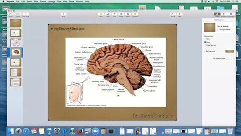 Sympathetic / Parasympathetic TONE | Dr. Kevin Conners - Conners Clinic