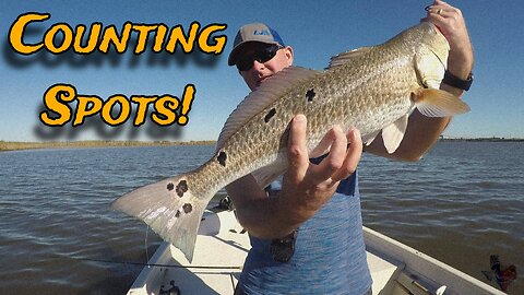 Surprise Catches in a Saltwater Marsh / Bessie Heights / Neches River