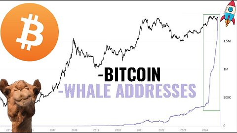 Bitcoin Whales are buying