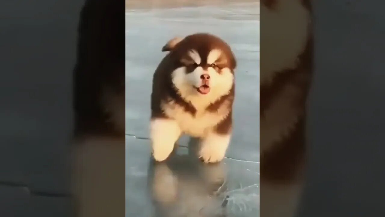 QUANDO DECIDO QUE NADA VAI ESTRAGAR MEU DIA😁😇🙏🏻