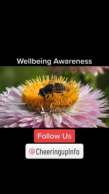 Wellbeing Awareness