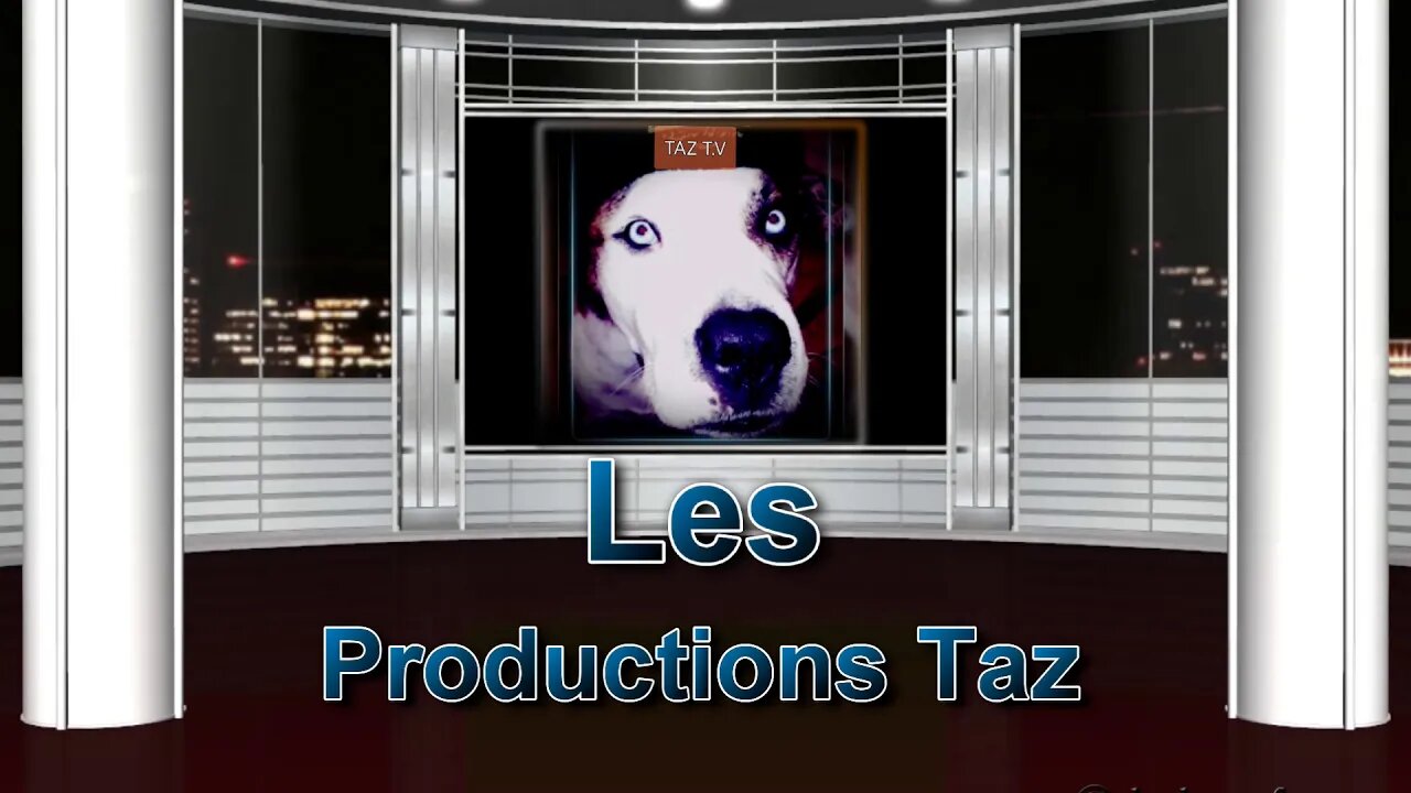 Intro Les Productions TAZ