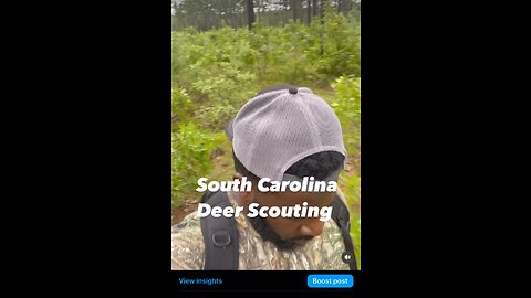 2023 Preseason Deer Scouting in South Carolina