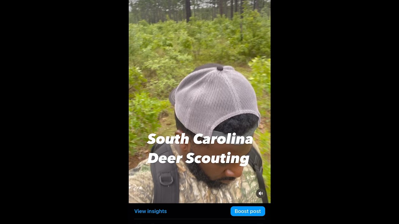 2023 Preseason Deer Scouting in South Carolina