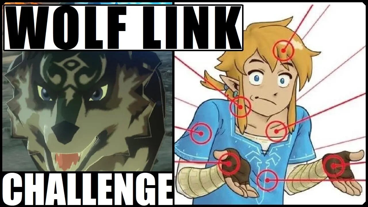 WOLF LINK CHALLENGE | Breath of the Wild - YOU CHOOSE | Zelda BotW | Basement | S3E20