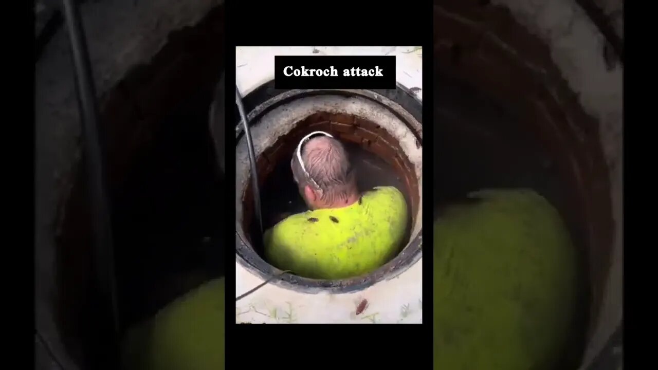 cokroch attack #funny #youtubeshorts #shorts