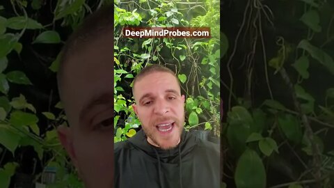 Deep Mind Probes App is LIVE for iOS and Android