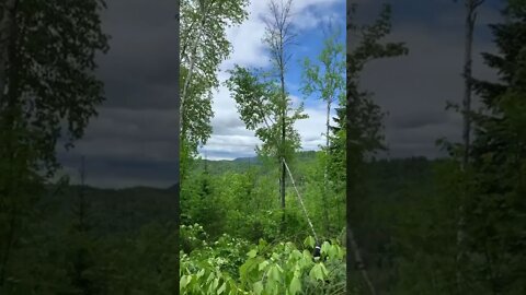 The moment we got a first look at our forever view 🥺