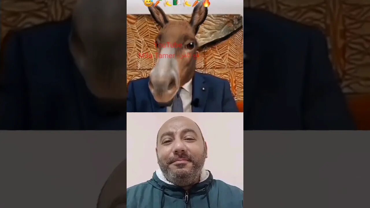 احنا كنشوفوك بحال هاكا اعبيقة #reels #الجزائر #algerie #algeria