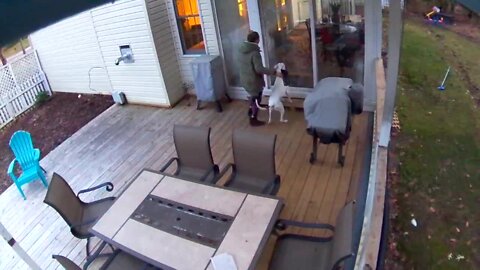 Dog Trying To Escape The Cold Gets A Rude Wake Up Call