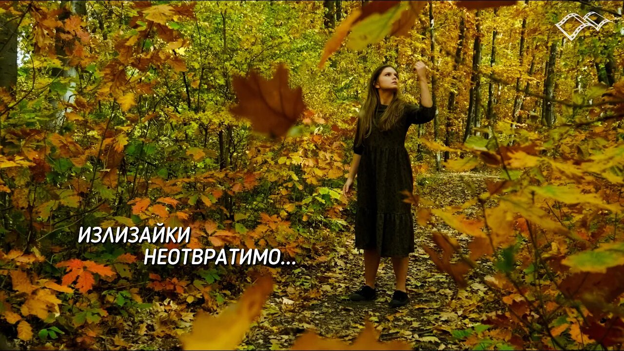 Илко Димитров - Излизайки неотвратимо... / Ilko Dimitrov - Irreversibly Emerging...