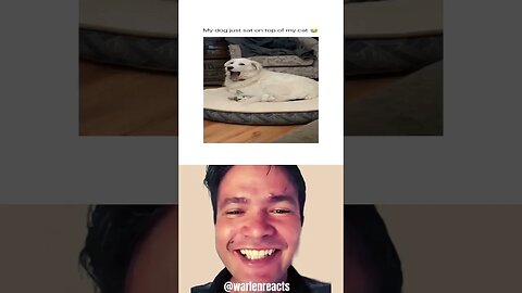 Warlen reacts #memes #memes #dankmemes #funnymemes #react #xqcreacts #freshmemes #unusualmemes