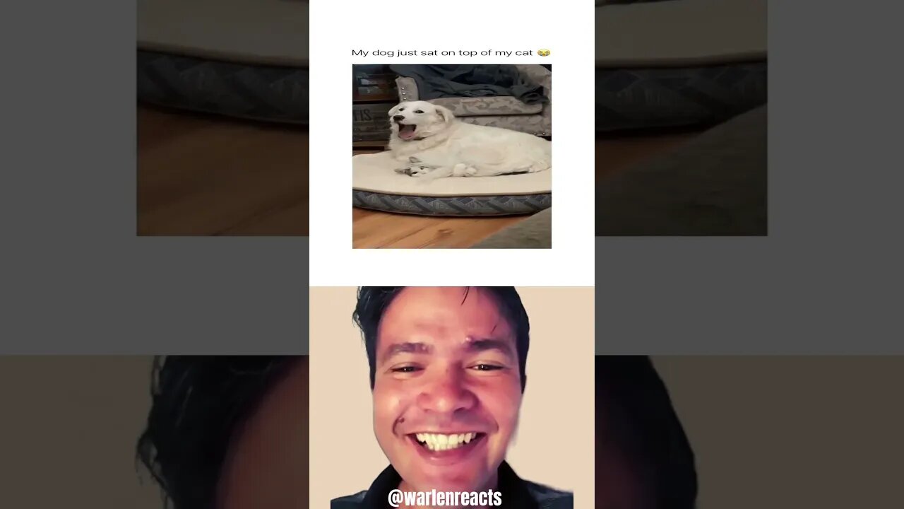 Warlen reacts #memes #memes #dankmemes #funnymemes #react #xqcreacts #freshmemes #unusualmemes