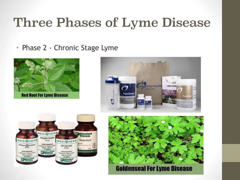 The Lyme Dilemma 3 | Dr. Kevin Conners - Conners Clinic