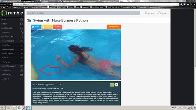 Girl Swims with Huge Burmese Python