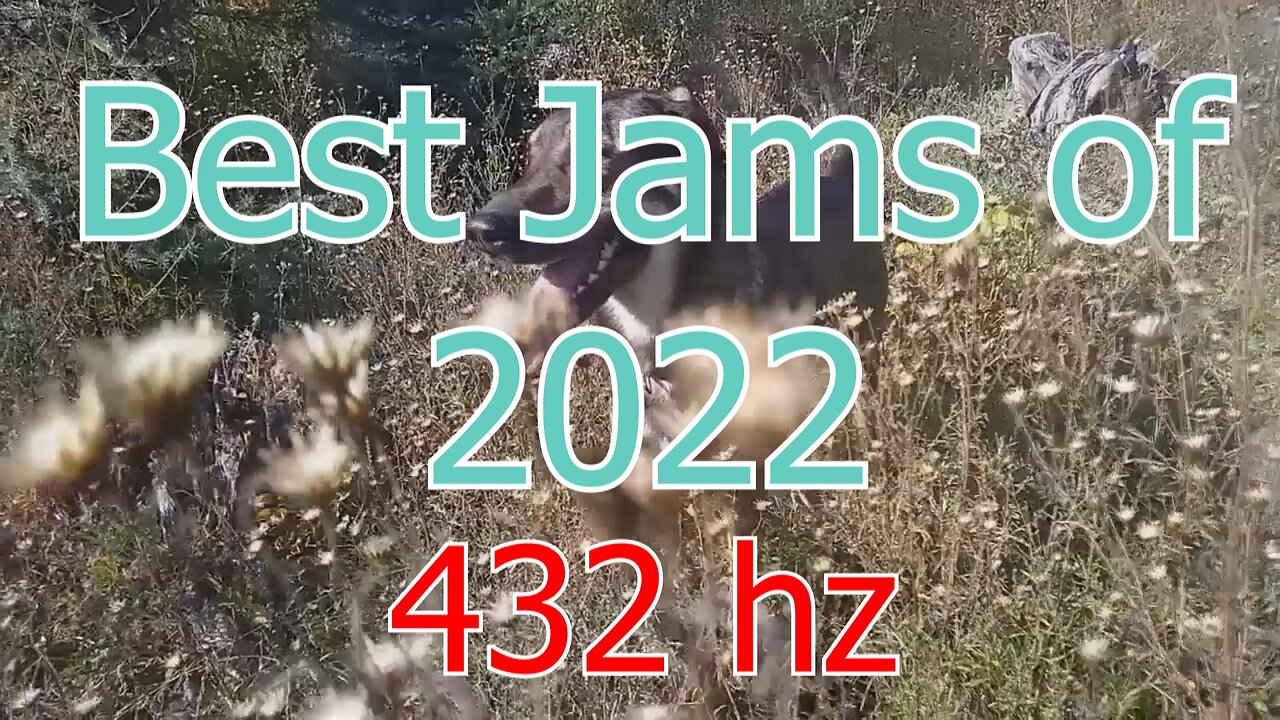 My Favorite Jams of 2022