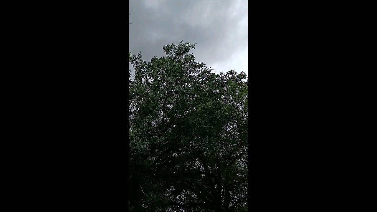 What kind of day is it