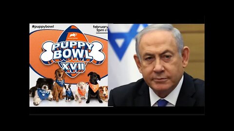 Super Bowl Puppy Show related to Trial of Ben Netanyahu?