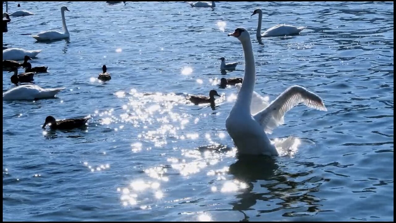 Nature 🫶🏻❤️