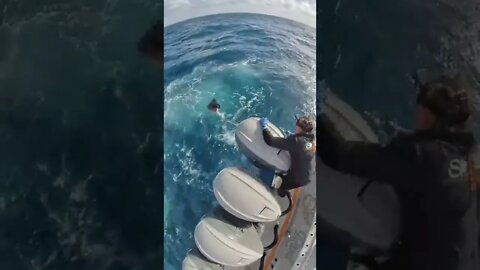 Fishing for Sailfish