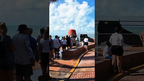 🏝️ Exploring Key West 🌴 Jimmy Buffet’s Margaritaville 🦜🌴 #keywest #jimmybuffett #parrotheads