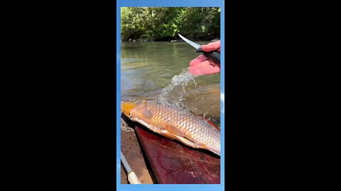 roasting fish on the riverbank